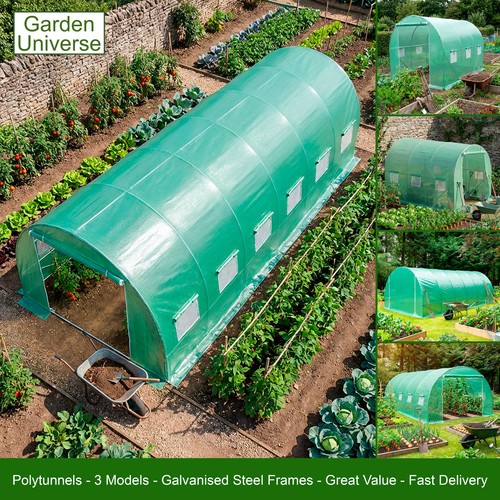 Garden universe polytunnel - garden,
