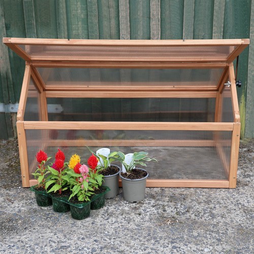 Wooden cold frame - wooden,