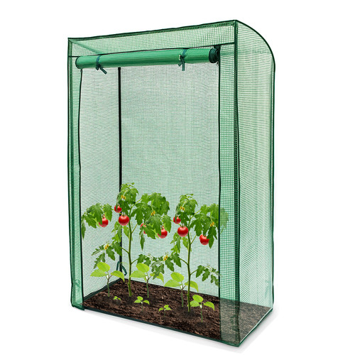 Tomato greenhouse reinforced - greenhouse,