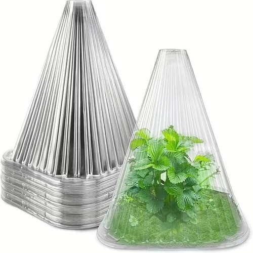 20xplant bell cloches - 10/20xplant,