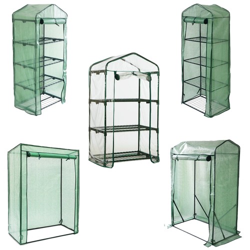 Greenhouse outdoor garden - outdoor,