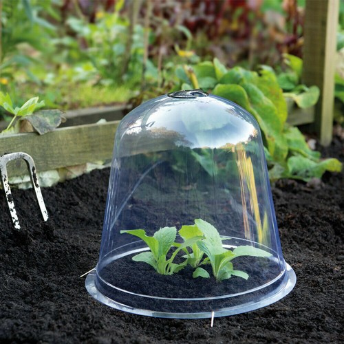 Garden bell cloche - cloche, mini