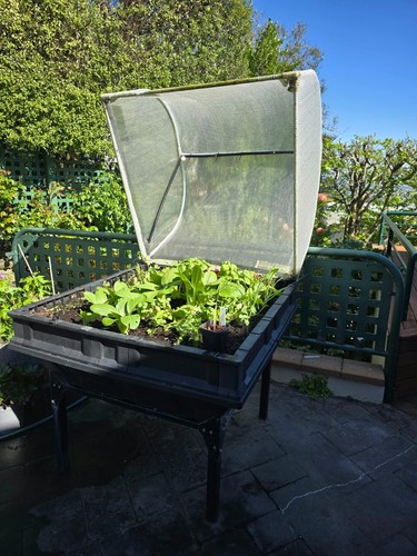 Vegepod medium 1m - x, raised