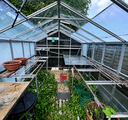 Large 12 glass - x, 12’