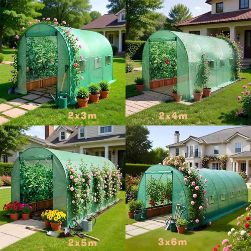 Birchtree polytunnel fully - birchtree,