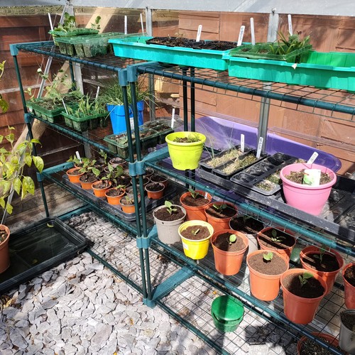 Woodside greenhouse - 2,