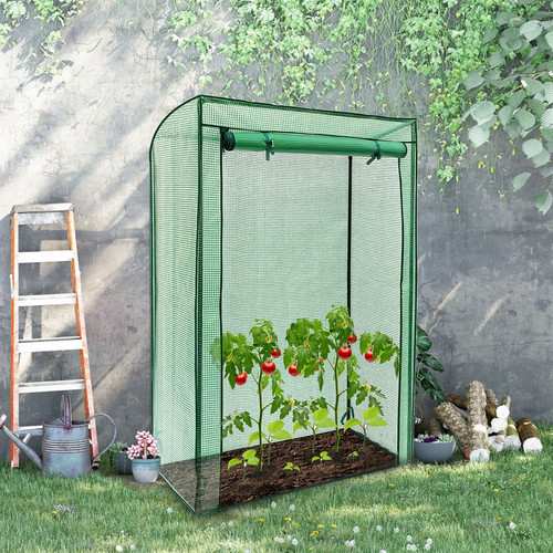 Tomato greenhouse reinforced - tomato,