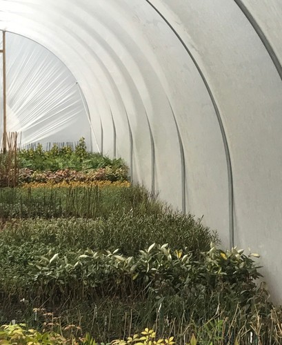 14ft wide heavy - 14ft,